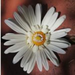 Foto del perfil de Leire U